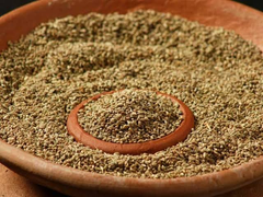 Premium quality Ajwain Seeds for Wholesale supplies - Image 3