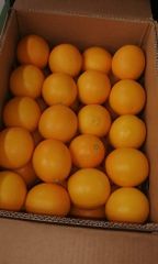 Company – thumbnail 9 of 15, supplier detail gallery