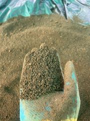 Vermicompost - Image 2