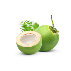 Fresh green Coconut From Vietnam 2024 natural coconut for drink Natural fruit Vietlinh Agrimex - Image 5