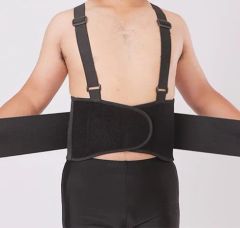 Lumbar Support with Plastic Back Support Back Support Belt - Image 5