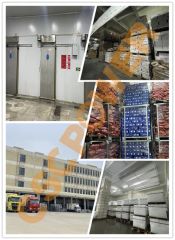 Customized Dimension Blast Freezer with Other Compressor Brand - Image 3