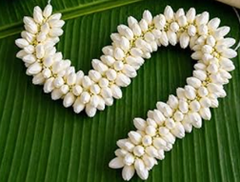Fresh Jasmine - Image 2