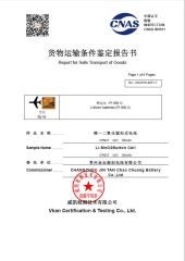 Report for Safe Transport of Goods-by Air certificate from Plenty Harvest Manufacturing Limited