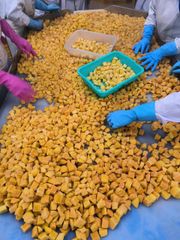 Frozen keaw mango – product photo 1, product detail gallery