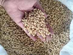 Soyabeans - Image 2
