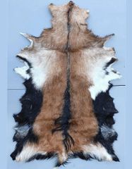 Raw Leather Material GOAT SKINN Country of Origin Made in - Image 1