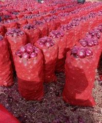 Red onion – product photo 2, product detail gallery