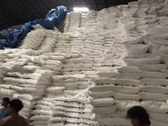 Sugar cane - Image 5