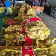 Fresh Ginger - Image 1