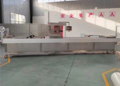 Multi-Function Automatic Stretch Film Vacuum Packing Machine for Food - Image 2