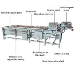 304 Stainless Steel Bubble Vegetable Fruit Washer Automatic Cleaning Machine for Food Processing Industry - Image 2
