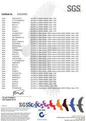 SAA Certificate (Outdoor Spa) certificate from GUANGZHOU JOYEE WELLNESS TECHNOLOGY CO., LTD.