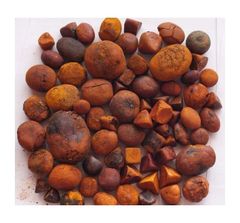Cheap Cow Gall Stones / Ox Gallstones for sale – product photo 3, product detail gallery