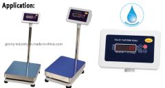 Tcs Platform Scale 150kg Electronic 300kg Platform Scale Factory Made - Image 5