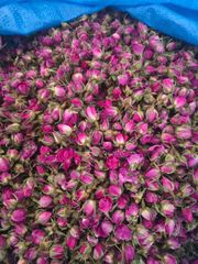 Lalehzar Rose Buds - Image 3