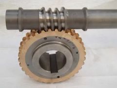 High Quality Cone Worm Gear - Image 1