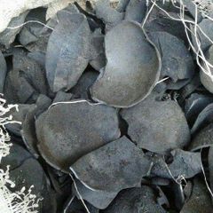 Coconut Shell Charcoal Packaging - Image 1