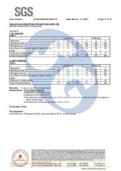 Certificate16 certificate from HENAN SAFE-GUARD CO., LTD.