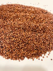 Red Quinoa Seeds, Regular Size, Purity - 99.9 %, Indian Origin - Image 3