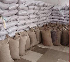 Sesame seeds - Image 1