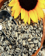 Natural White Sesame Seeds Sesame Seeds Exporters High Quality Fast Shipping Organic Sesame Seeds Suppliers – product photo 2, product detail gallery