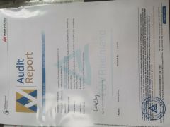 Audit Report certificate of Guangzhou Taiyi Enterprise Development Co., Ltd. – certificate photo, supplier certificates section