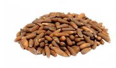 Pine Nuts - Image 1