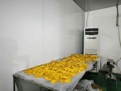 Dried mango from Vietnam less sugar – product photo 2, product detail gallery
