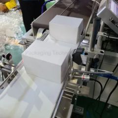 Full Automatic Box Case Carton Sealing Cartoning Machine for Bulk Gloves - Image 4