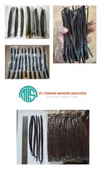 Vanilli Planifolia – product photo 2, product detail gallery