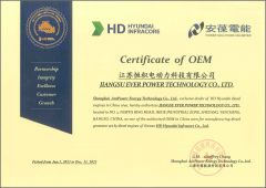 Hyundai Doosan OEM certificate from Jiangsu Ever Power Technology Co., Ltd.