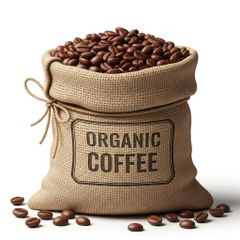 Fresh Organic Coffee Beans Strong Aroma Smooth Taste High Demand Bulk Supply Worldwide - Image 2