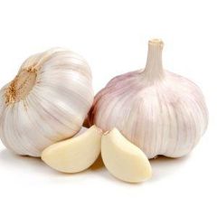 Fresh Garlic - Image 1