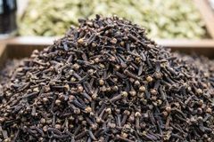 Ceylon Clove - Image 3