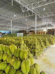 Durian – product photo 6, product detail gallery