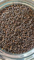 Export Grade Black Pepper – product photo 1, product detail gallery