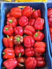 Company – thumbnail 6 of 15, supplier detail gallery