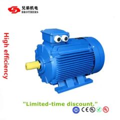 Y2 Series 30 Kw 40HP Three Phase Asynchronous Motor - Fuding Brothers Power Co., Ltd.