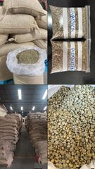 ROBUSTA COFFEE BEANS – product photo 2, product detail gallery