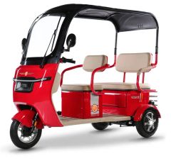 Wholesale Adult 3 Wheel Electric Bike 850W-1000W Electric Tricycle - Wuxi Qisheng Automotive Technology Co., Ltd