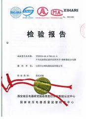Type test report certificate from Wuhan Feite Electric Co., Ltd.