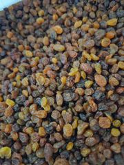 Fresh Iranian Raisins - Image 4