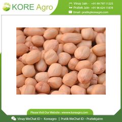 Best Pure Natural Dried Java Peanuts 100% Raw Quality Ground Nuts Peanuts Buy At Low Price - Image 2