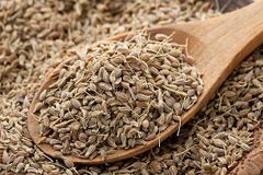 Egyptian Anise for Export – product photo 3, product detail gallery
