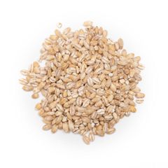 Quality Assured Barley Grain High Cleanliness Bulk Packaging For International Trade Buyers - Image 3