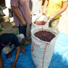 Java Arabica – product photo 5, product detail gallery