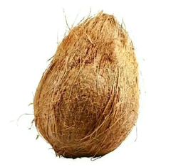 Semi-husked Coconut – product photo 1, product detail gallery