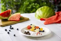 Pfas Free Biodegradable10" 3-Compartment Plates Disposable Paper Plates Lunch Trays - Image 4