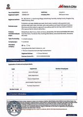 Audit report certificate from Anping County Nuoxi Wire Mesh Products Co., Ltd.